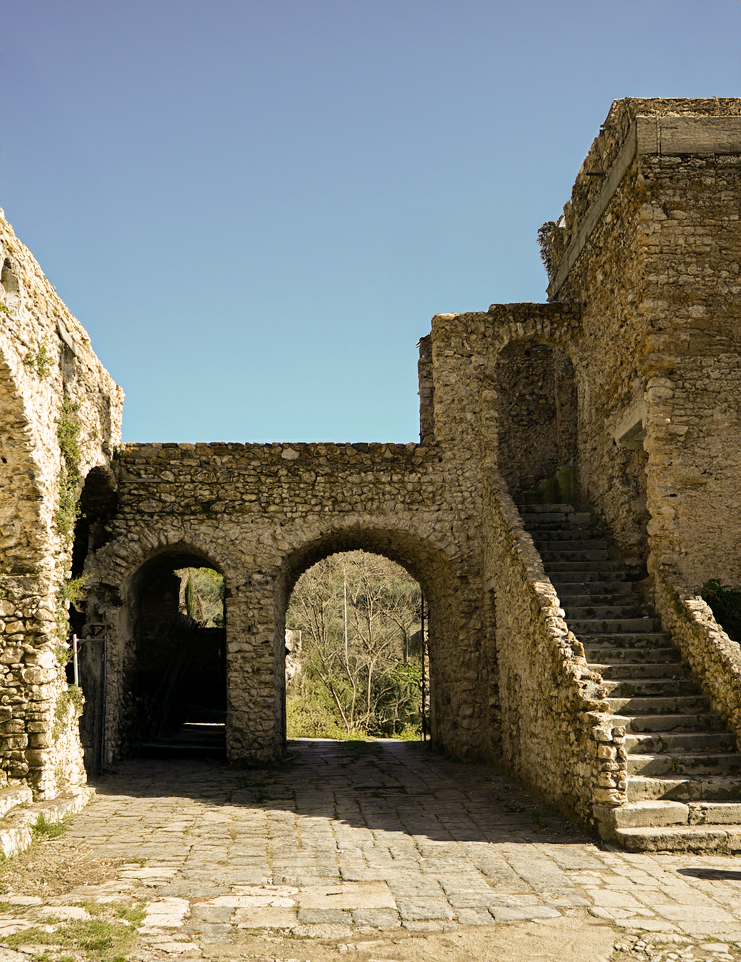 6 FOTO CASALE (1)